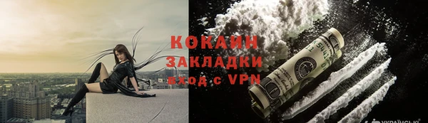 стаф Богданович