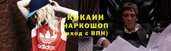 гидропоника Богородск