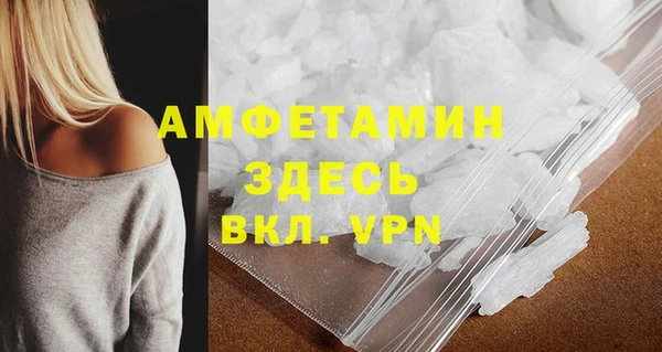 стаф Богданович
