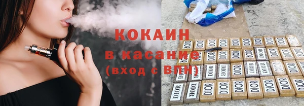 стаф Богданович