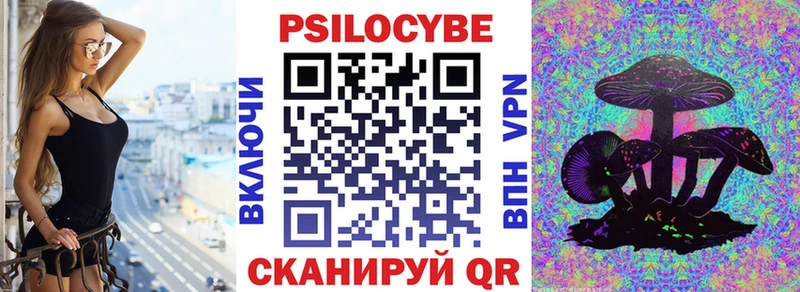 Псилоцибиновые грибы Psilocybe  Короча 